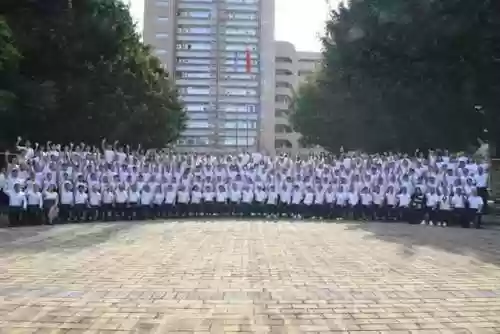出征最强阵容(荣耀出征最强阵容排名)