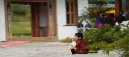 王后公主阵容(皇室战争公主卡组搭配)插图10
