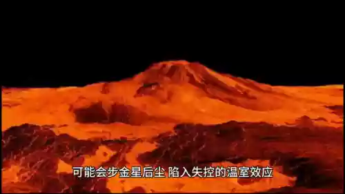氧气时刻阵容(锚点降临t0阵容)插图1