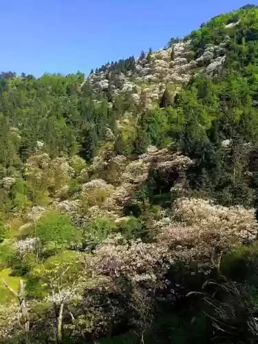雅丽新月阵容(雅典娜和纱织阵容搭配)插图3