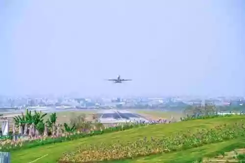 空港花田阵容(空港花田需要门票吗)插图16