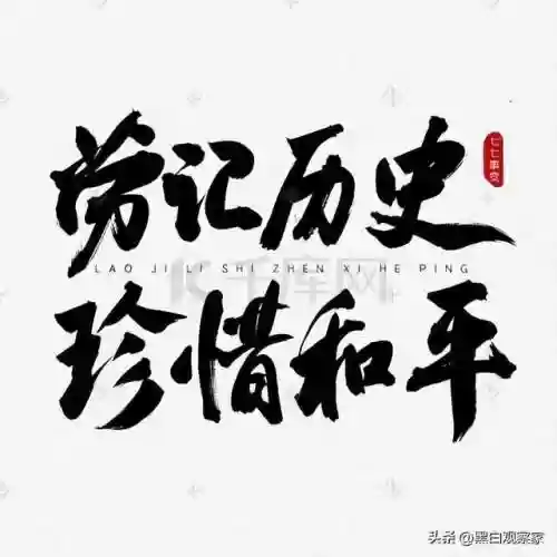 法西斯阵容破裂(第二次世界反法西斯战争)插图20