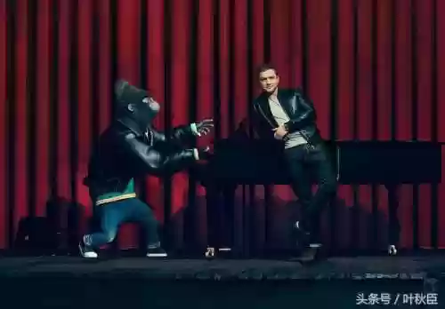公猪搭配阵容(苏太猪配什么猪最好)插图8