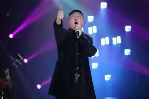 2017歌手 阵容(歌手2019阵容)插图5