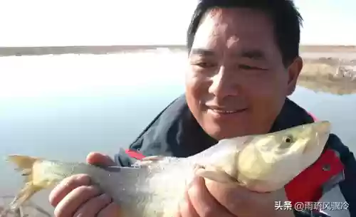 沙漠海洋阵容(海洋王国最强阵容搭配)插图2