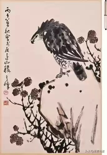 1920老鹰阵容(2017年老鹰队员阵容)