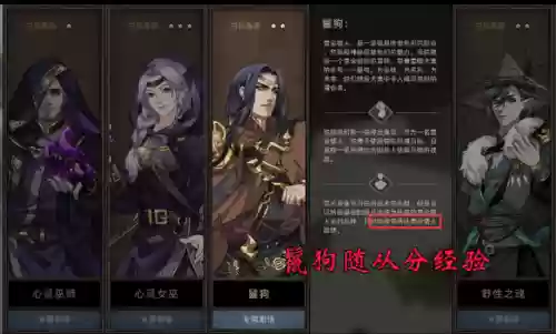 男巫阵容加点(巫师三加点顺序)插图5