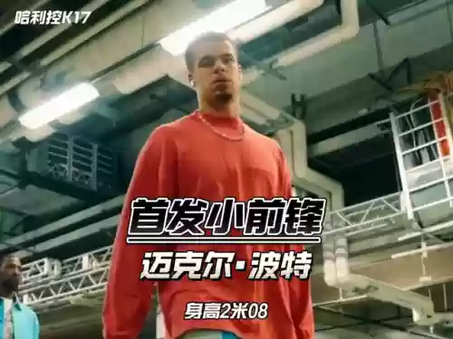 阵容分析掘金(死亡突围队伍最佳阵容)插图1