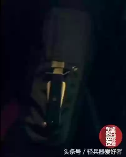 猪皮枪阵容(合金弹头阵容搭配)插图25