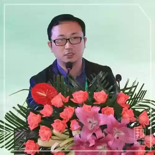 2018葡萄阵容(英格兰国家队主力阵容)插图10