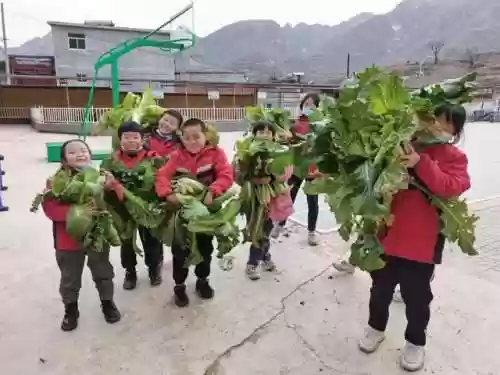 穿山妹阵容(放置奇兵纯森林瓦妹最终阵容)插图6 穿山妹阵容(放置奇兵纯森林瓦妹最终阵容)插图6