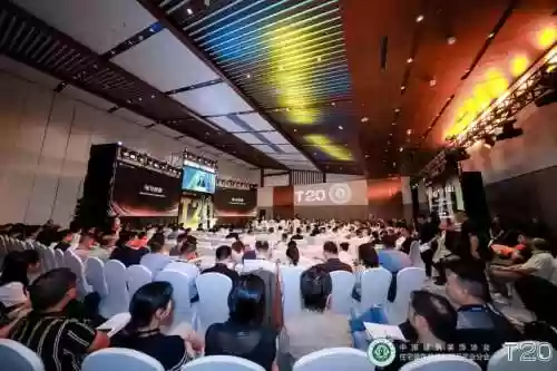点石之王阵容(浮石之旅后期阵容)插图1