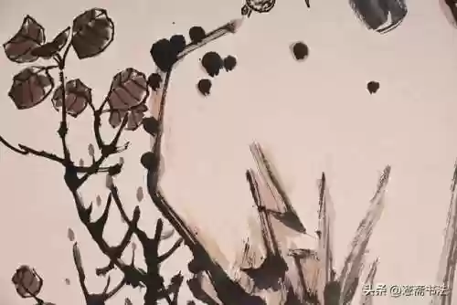 1920老鹰阵容(2017年老鹰队员阵容)插图3
