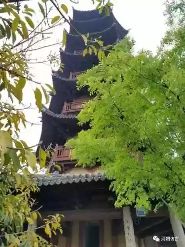 白象塔阵容(白板潜龙阵最强阵容)插图11