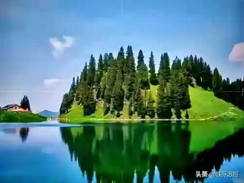 快乐8阵容(原神4.3阵容排行)