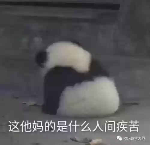 克制爱德华阵容(什么阵型克制442)插图15