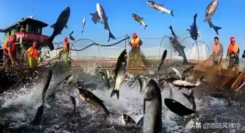 沙漠海洋阵容(海洋王国最强阵容搭配)插图5