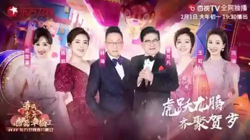 民间春晚阵容(春晚2020年节目单)插图5