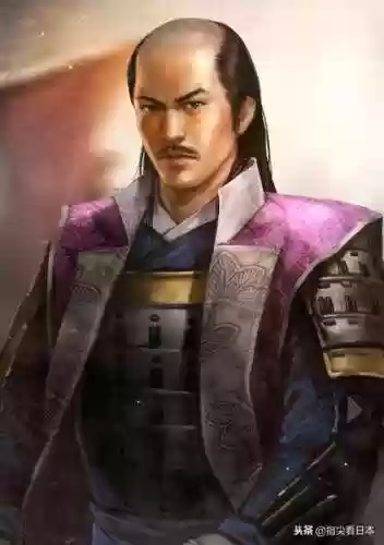 武田信中阵容(武峰乐进t0阵容)插图5