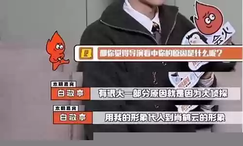 小盒子新综艺阵容搭配