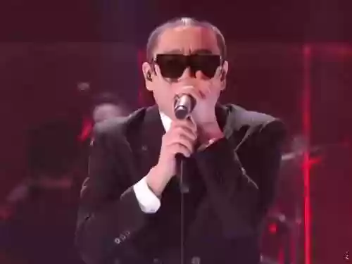 歌手阵容外籍(美籍华人歌手有哪些)插图10