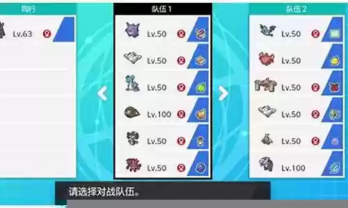 双打阵容不同搭配