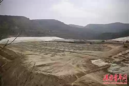 环卫阵容扩大(环卫集团招聘10人)插图3 环卫阵容扩大(环卫集团招聘10人)插图3