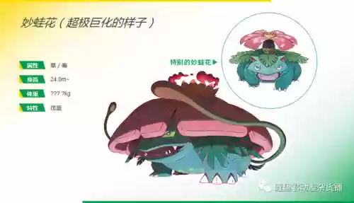 遍地花朵阵容(灵魂莲花阵容怎么玩)插图2