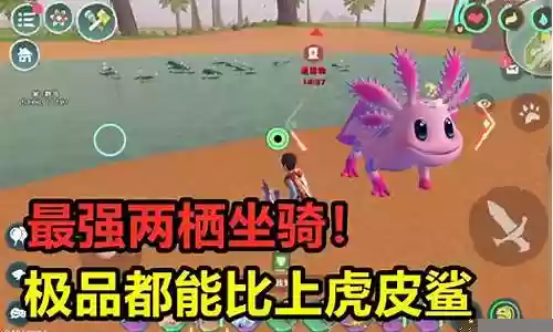 创造与魔法最强阵容搭配