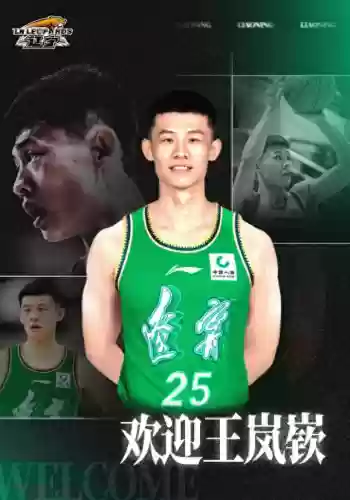 辽宁目前阵容(辽宁新赛季大名单)