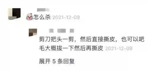米利虫子阵容(米拉奇战记阵容推荐)插图15