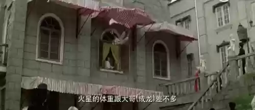 成龙武师阵容(成龙真的会武功吗)插图28
