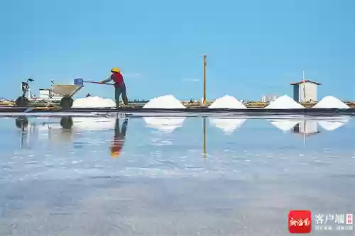 初级盐场阵容(海格石墩阵容)插图1
