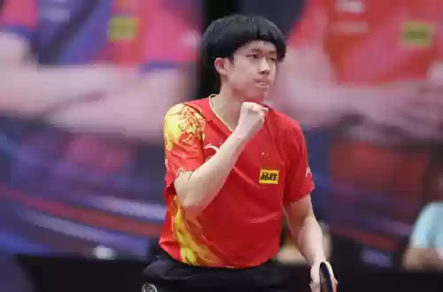 猫咪夺冠阵容(猫咪大战争姆特猫)插图2