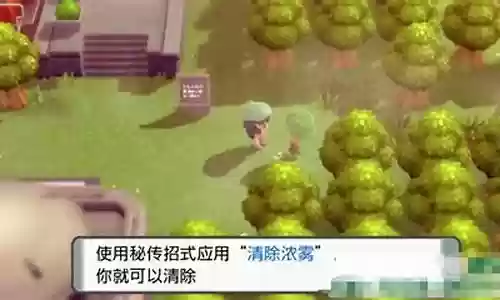 口袋妖怪明亮珍珠阵容搭配