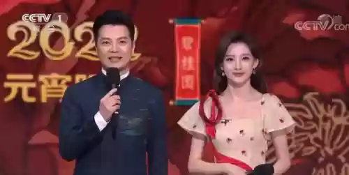 2022央视阵容(央视春晚主持人阵容正式公布)插图9