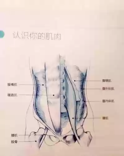 深层序列阵容(深渊与秩序阵容攻略大全)