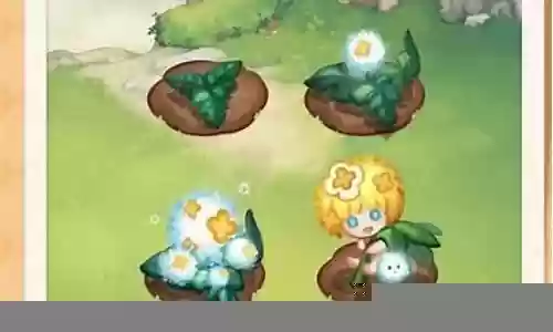 魔法植物搭配阵容