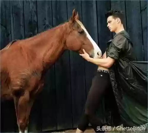 范思哲阵容2015(国足历史最强阵容)插图7 范思哲阵容2015(国足历史最强阵容)插图7