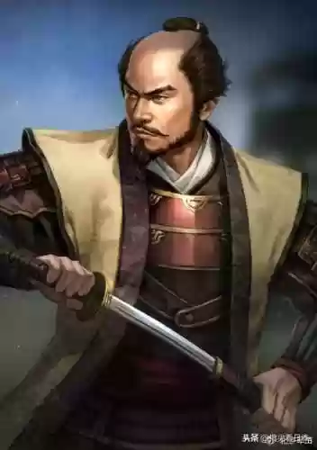 武田信中阵容(武峰乐进t0阵容)插图4