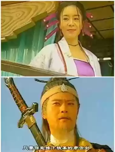 武林镖局阵容(武侯英杰传最强阵容)插图5