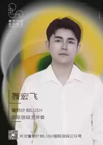 李玉前期阵容(剑盾冠军阵容)插图7