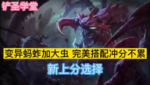 大蚂蚱阵容(金铲铲之战蜘蛛主c阵容)