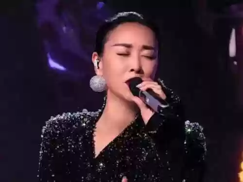 歌手阵容外籍(美籍华人歌手有哪些)插图7