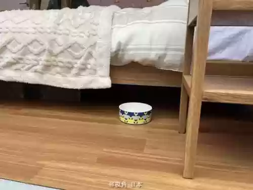 历年红白阵容(尤文图斯历年阵容一览)插图14