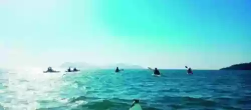 海神庙阵容(原神心海阵容)插图2