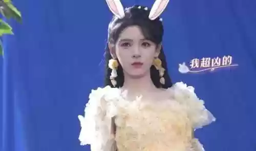 狐狸武魂阵容(狐狸魂环搭配)插图2