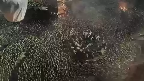 杰克打怪阵容(英雄联盟最强阵容)插图31
