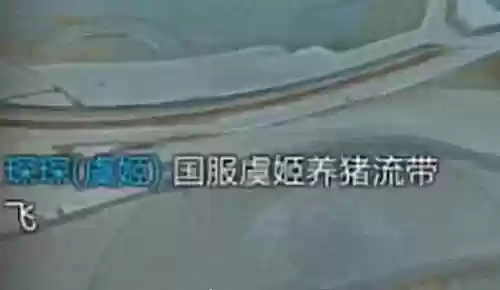 虞姬养猪阵容(虞姬的最佳辅助)插图1