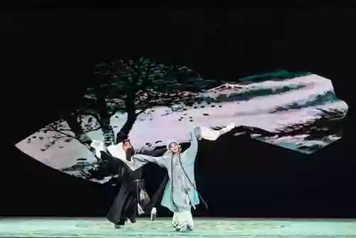 超大阵容戏曲(戏曲身段组合)插图16 超大阵容戏曲(戏曲身段组合)插图16